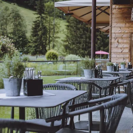 Ski&bike Wiesenegg Hotel 4*