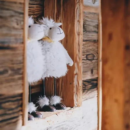 Hotel Ski&bike Wiesenegg Saalbach-Hinterglemm