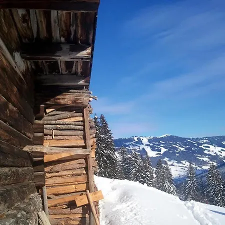 Ski&bike Wiesenegg Hotel Saalbach-Hinterglemm