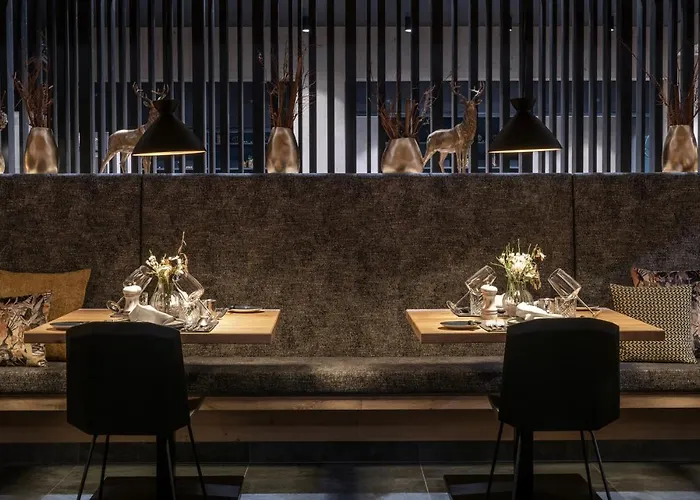 Ski&bike Wiesenegg Hotel Saalbach-Hinterglemm