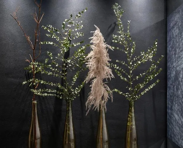 Hotel Ski&bike Wiesenegg