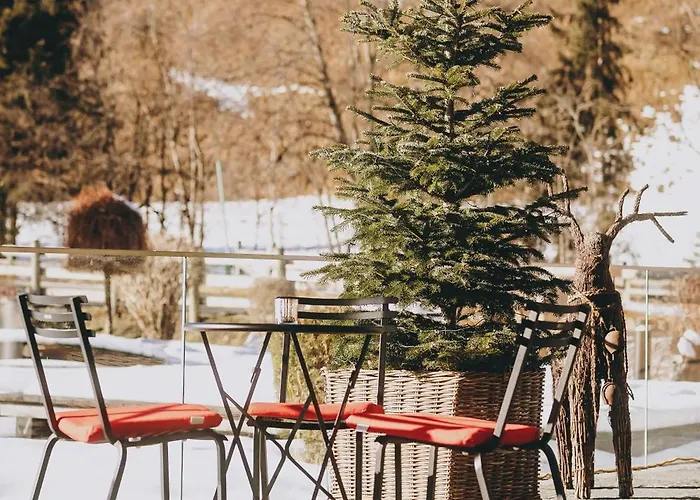 Ski&bike Wiesenegg Hotel Saalbach-Hinterglemm