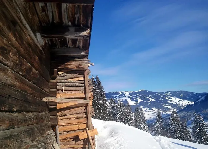 Ski&bike Wiesenegg Hotel Saalbach-Hinterglemm